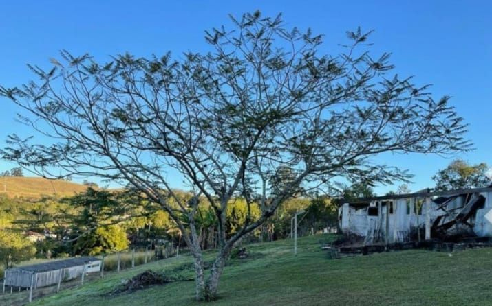 Fazenda à venda com 4 quartos, 200m² - Foto 3