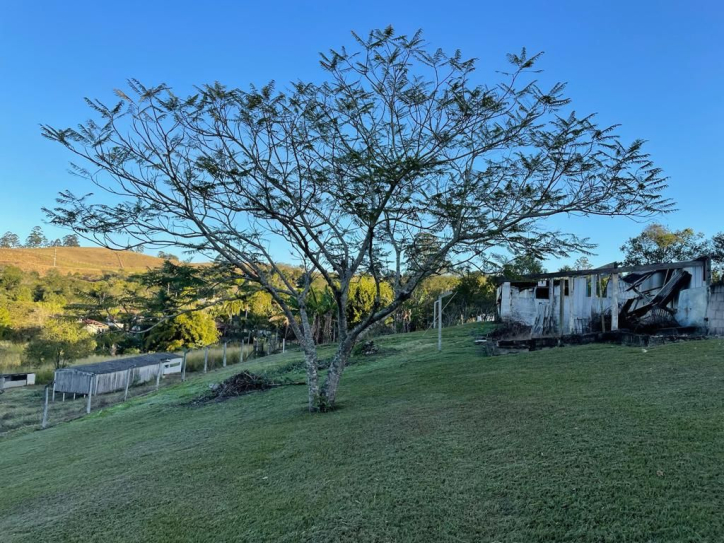 Fazenda à venda com 4 quartos, 200m² - Foto 20