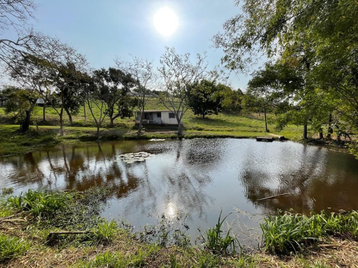 Fazenda à venda com 4 quartos, 200m² - Foto 24