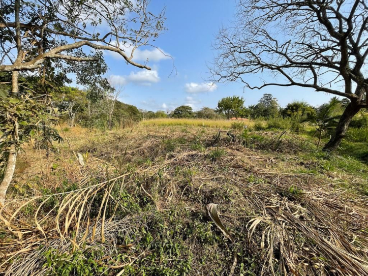 Fazenda à venda com 4 quartos, 200m² - Foto 26